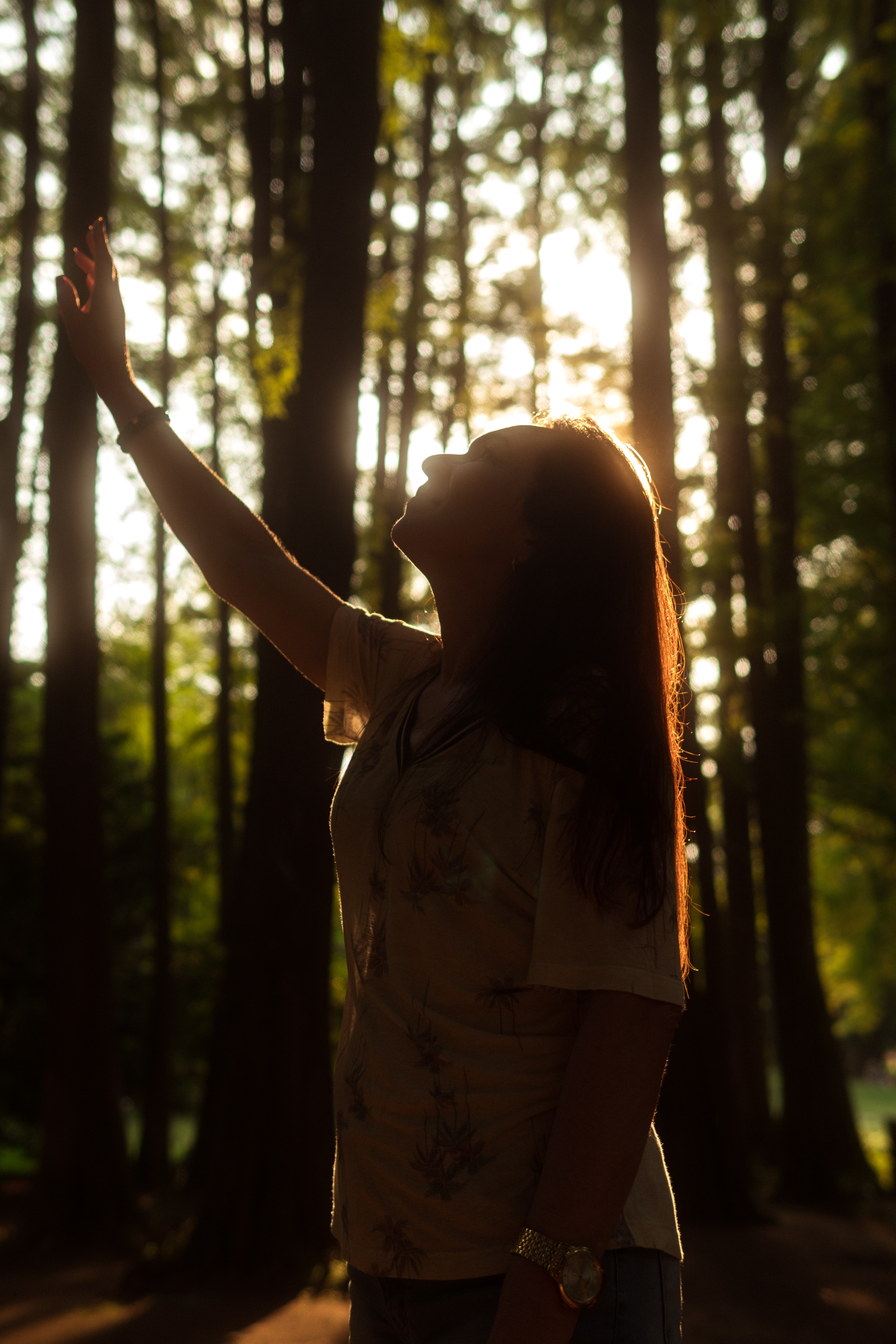 Woman reaching toward golden light filtering through forest canopy