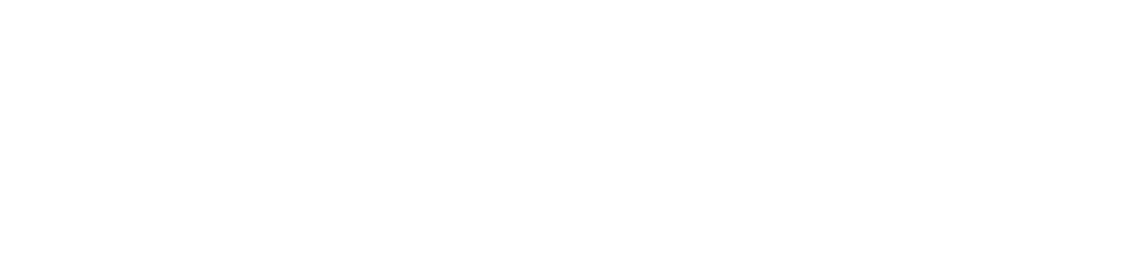 north start logo white