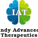 IAT Logo 1 1