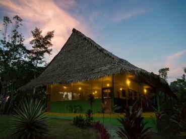 retreats ayahuasca healing