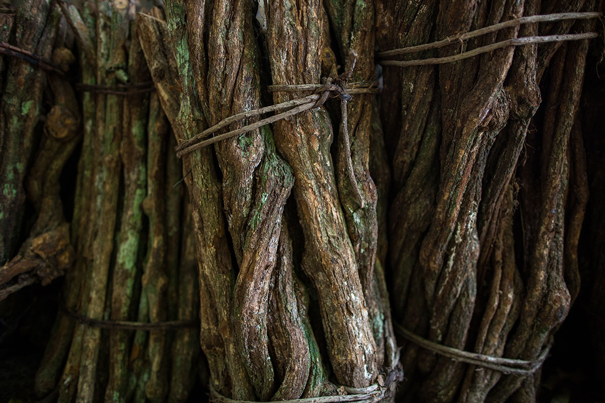 ayahuasca effects risks