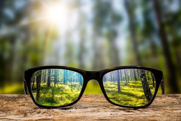 a pair of sunglasses sitting on a log, reflecting the image of the forest in the lenses