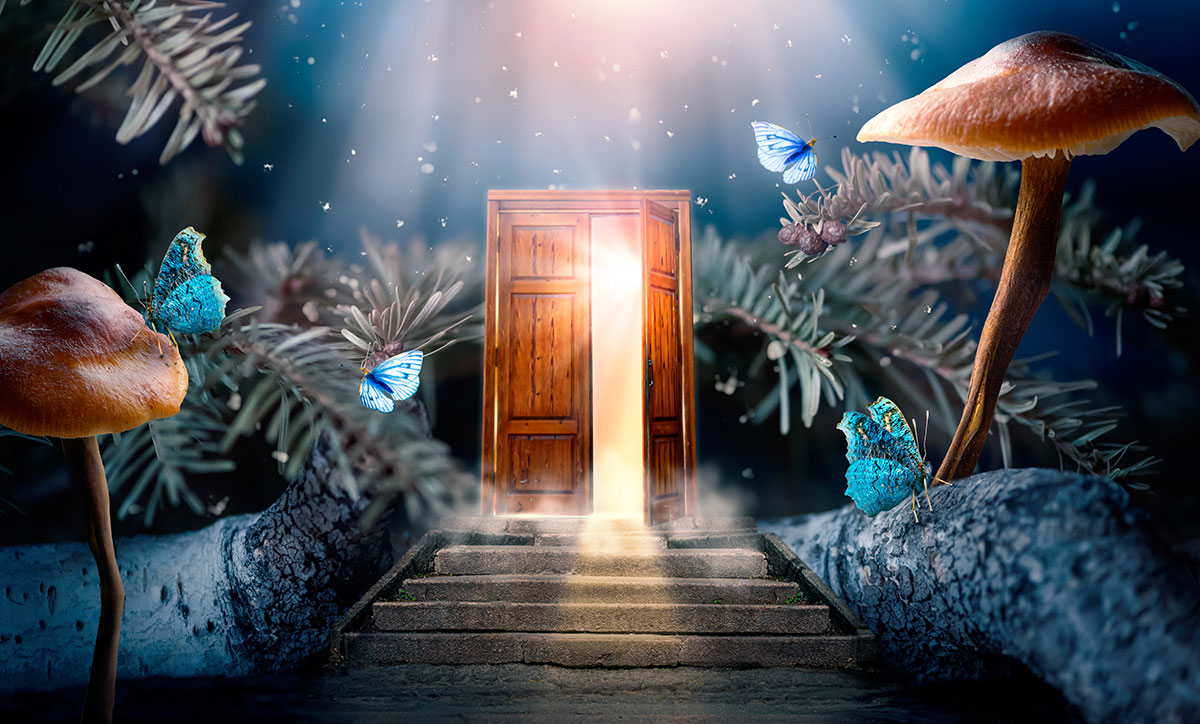 A magical looking pathway with lights and plants and butterflies leads to an opening door bathed in white light