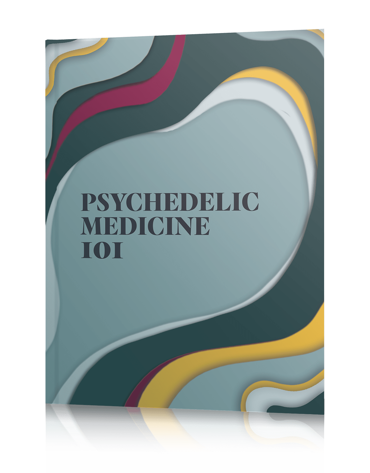 psychedelic medicine 101 book cover 1250w