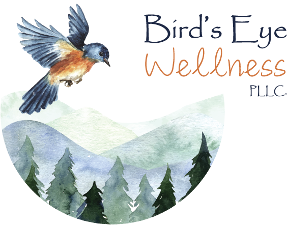 BirdsEye Wellness Logo 2022 transparent