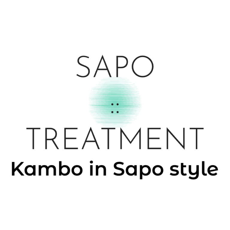 Sapo dot logo 768x768