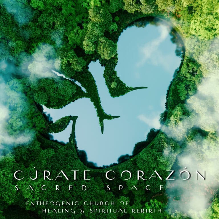 curate corazon baby earth logo 768x768