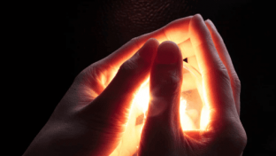 Surviving Hell, Finding Purpose Ben’s Story of Trauma, Addiction, and Psychedelic Healing
